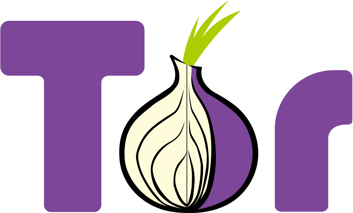 Tor-Browser herunterladen und verwenden
Alternative DNS-Server verwenden